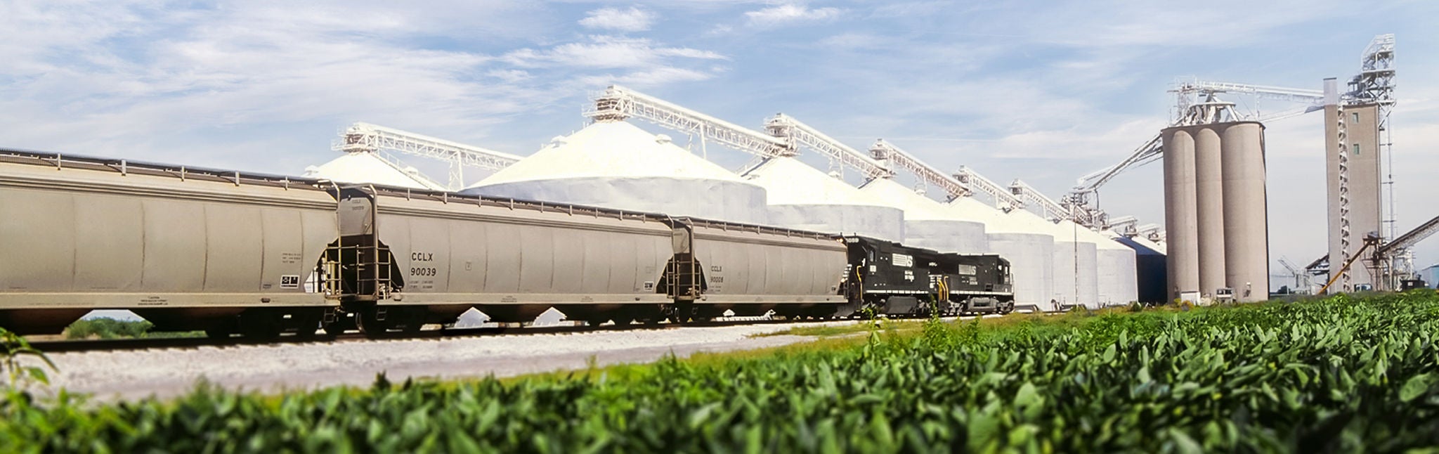 Long shot of Norfolk Southern train cars on tracks ready for shipping agricultural products