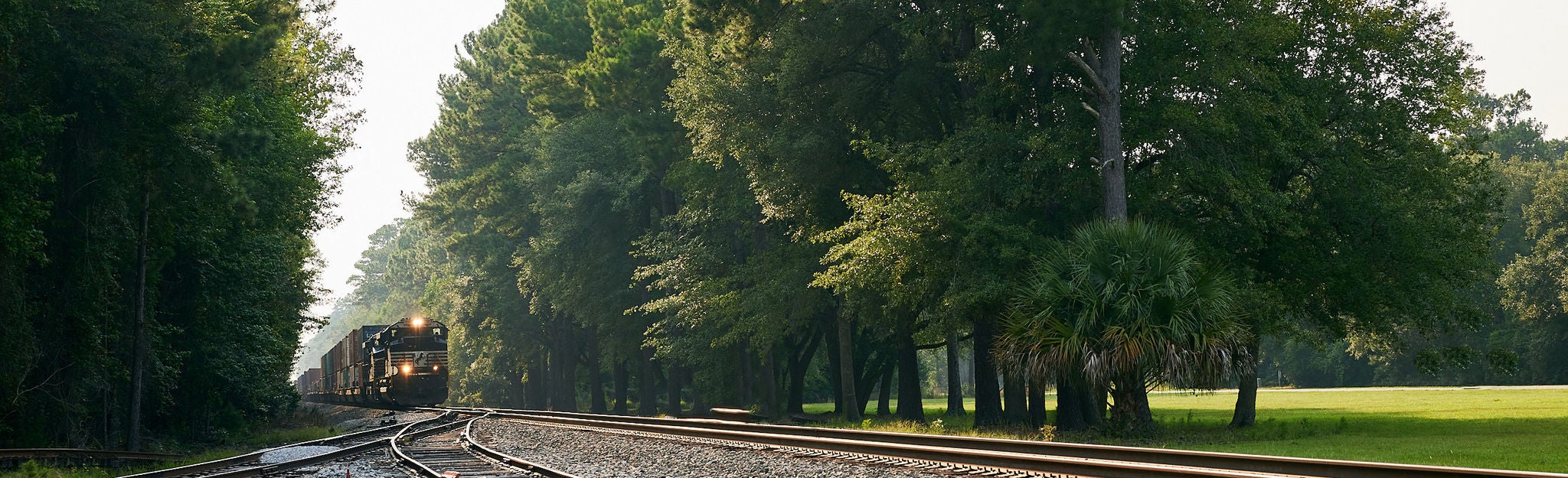 Train coming through rural area