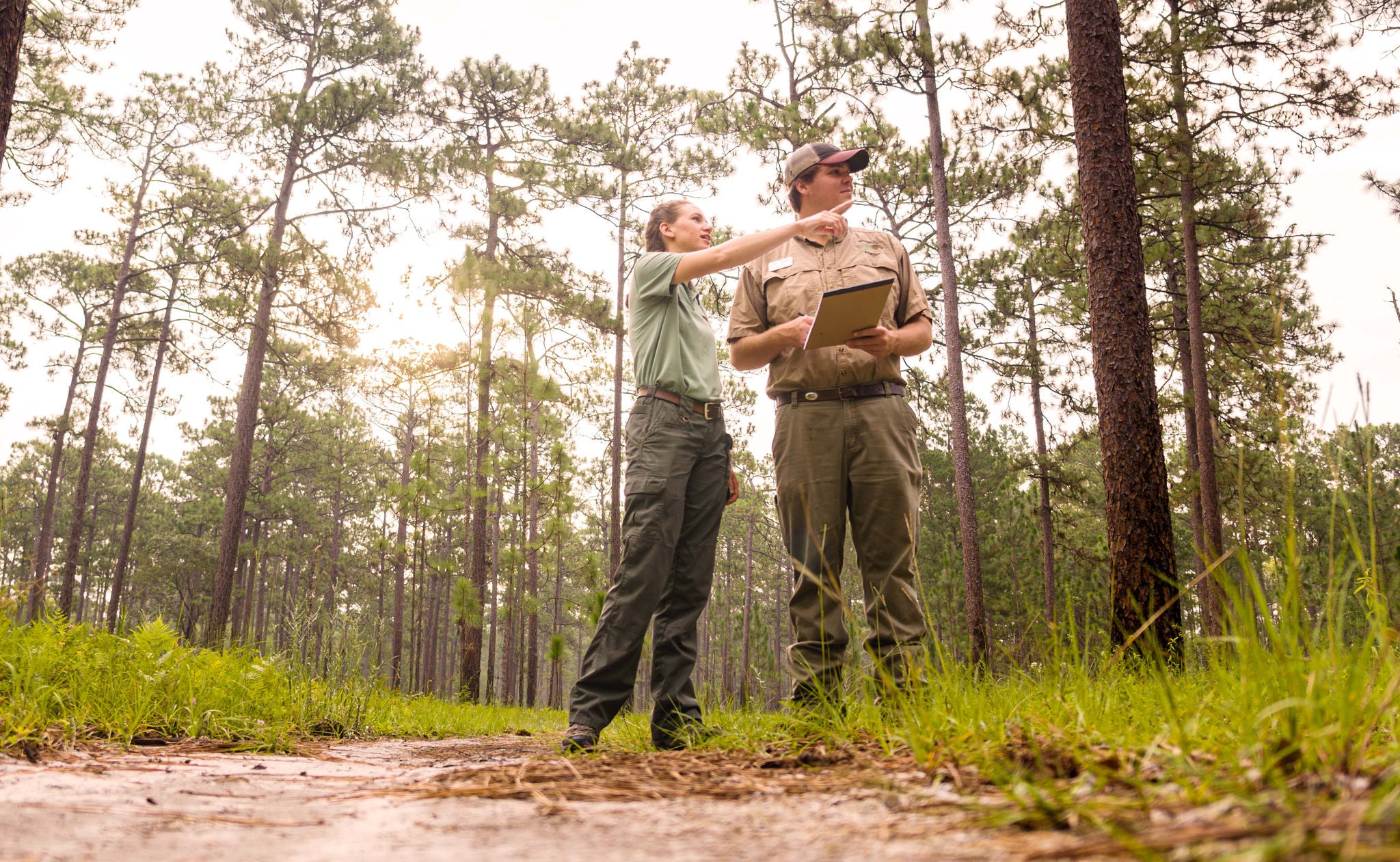 Looking up at two Brosnan Forest rangers in the woods which is a part of Norfolk Southern’s railroad network